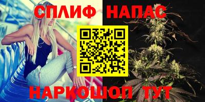 СК Аргун