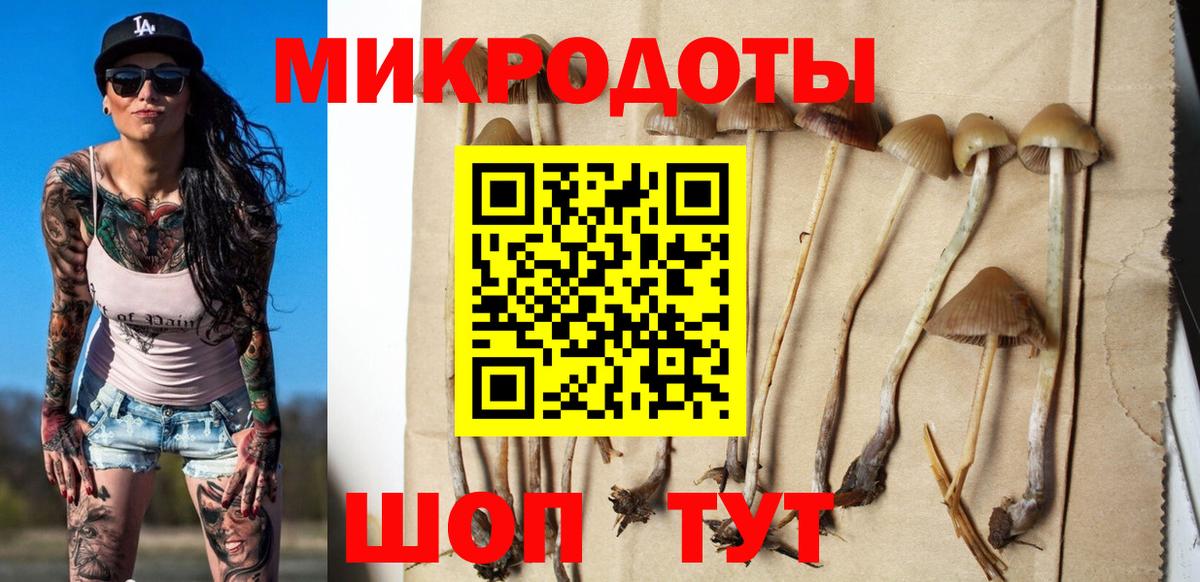 Алексеевка  Галлюциногенные грибы Psilocybe  Вход с VPN 
